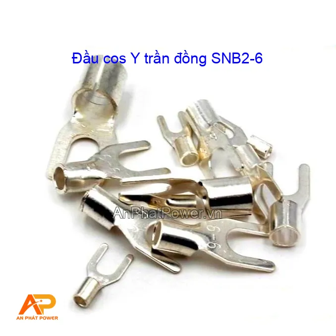 Đầu cos Y trần đồng SNB2-6